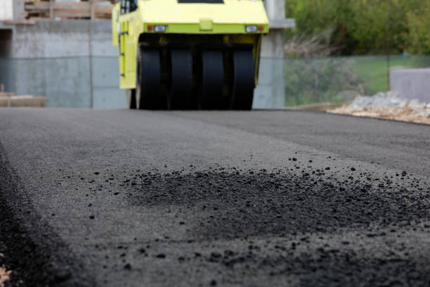 Best Driveway Paving Near Me  in Cedaredge, CO