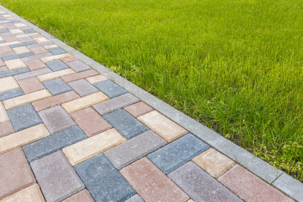 Reasons to Select Us for Your Driveway Paving Requirements in Cedaredge, CO